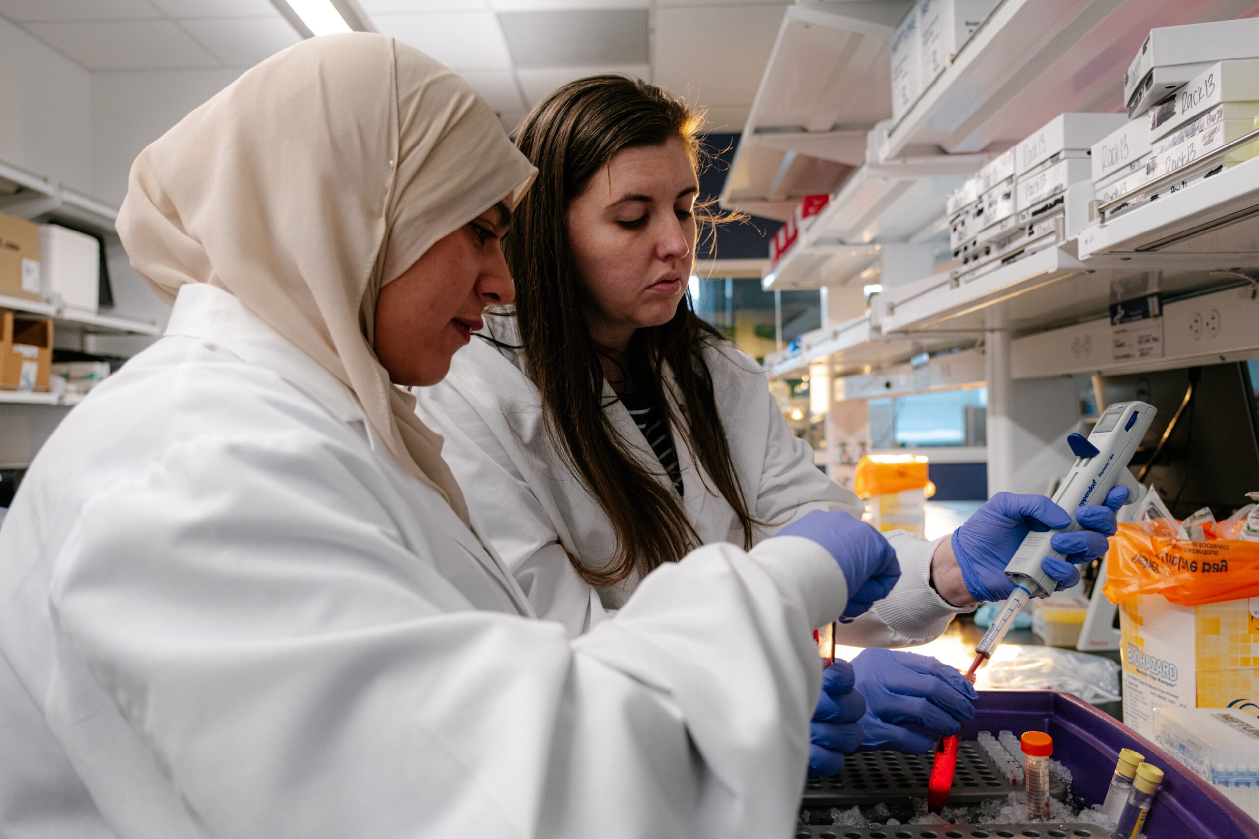 Transforming Alzheimer’s Detection